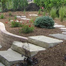 Landscape Maintenance