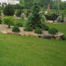 Lawn Fertilization