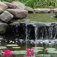 Pond Installation